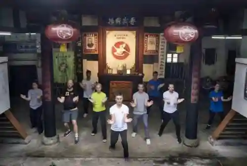 鹤拳阵容