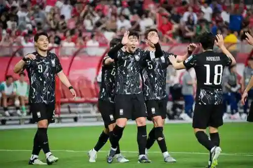 2010韩国阵容插图