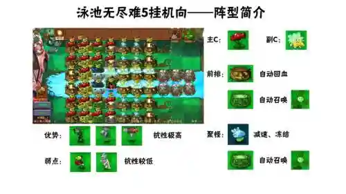 鲨鱼挂机阵容_1插图