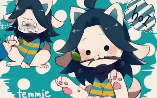提米阵容