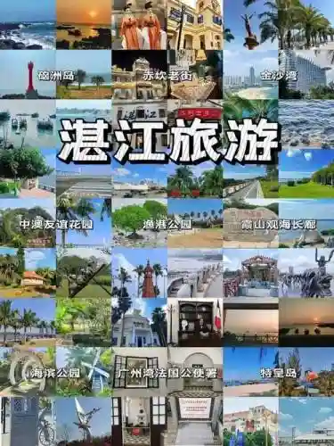 海浪阵阵容