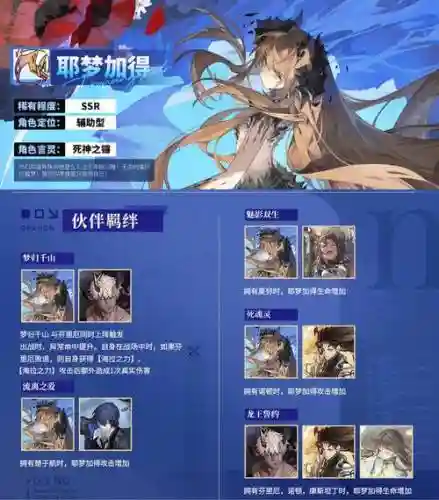 龙守阵容