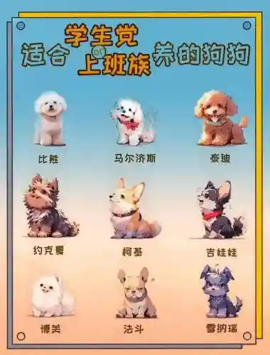 拯救狗狗阵容搭配