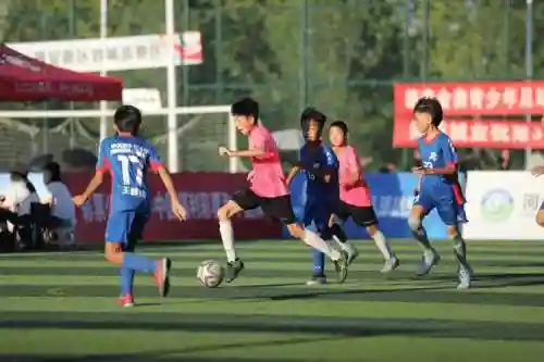 容城足球阵容