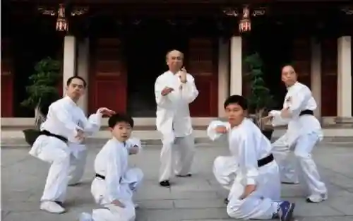 鹤拳阵容插图