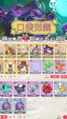 手游口袋觉醒最强阵容搭配