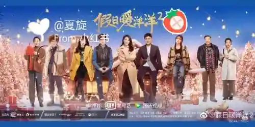 假日暖阳阵容搭配图插图