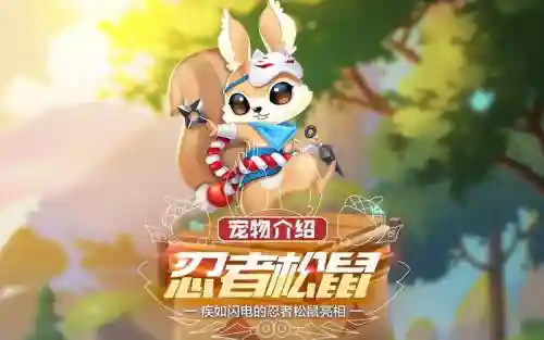 忍者松鼠阵容插图