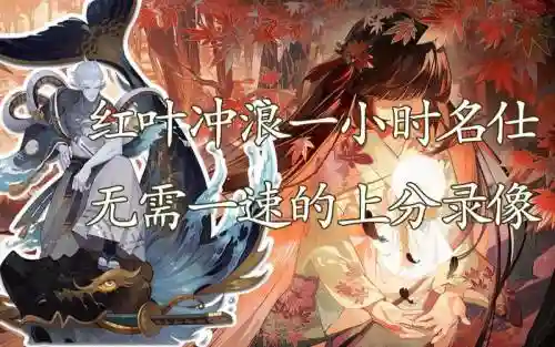 红叶冲浪阵容