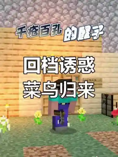 我的世界菜鸟生存攻略视频2插图