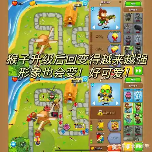 减防阵容