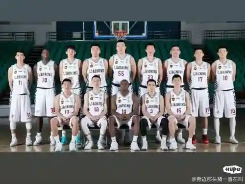 首冠阵容插图