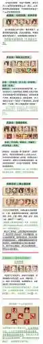 全民白虎阵容