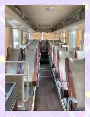 摆大巴阵容