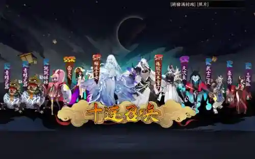 花鸟阵容搭配插图