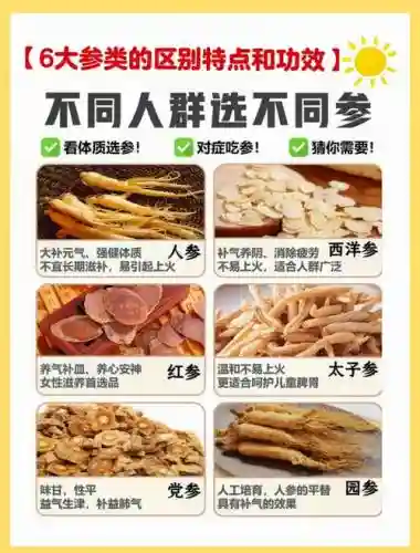 人参阵容搭配插图