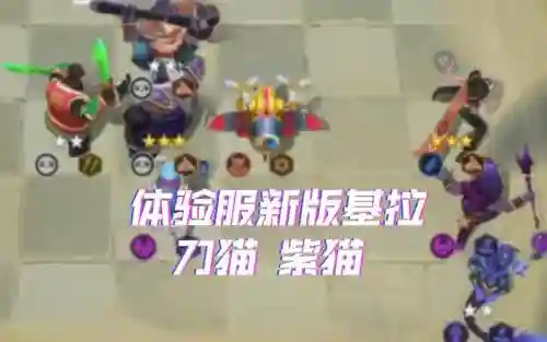 猫刺客阵容搭配_1插图
