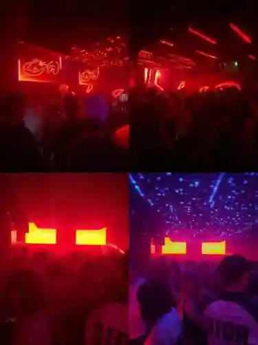蹦迪飞阵容搭配