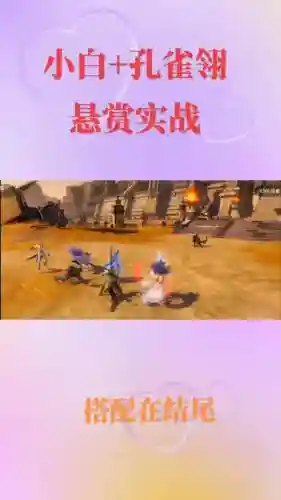 孔雀翎阵容搭配插图