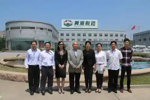 黄海制药阵容