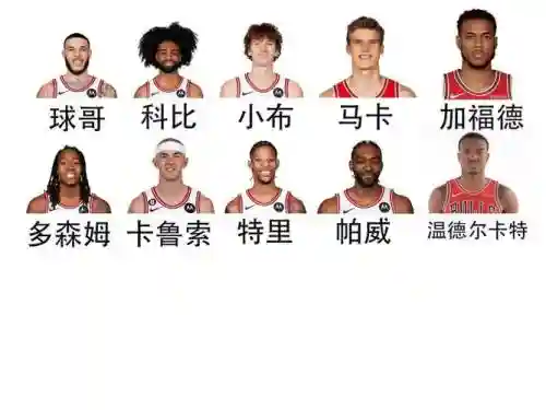 没头阵容插图