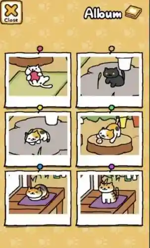 猫咪后院场景攻略