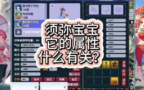 什么bb带须弥技能_1插图