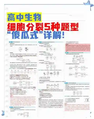 细胞分裂4快捷键攻略