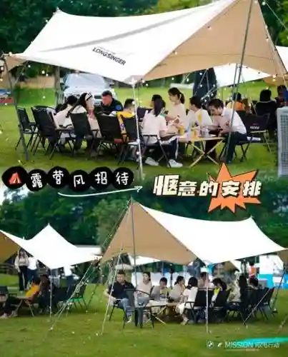 草坪生存阵容插图