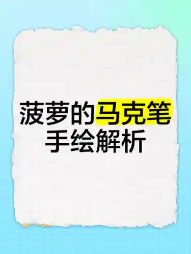 马克菠萝攻略插图1