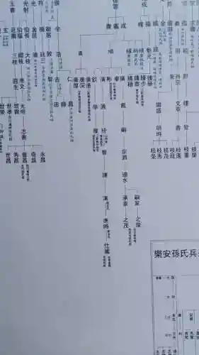 孙姓阵容