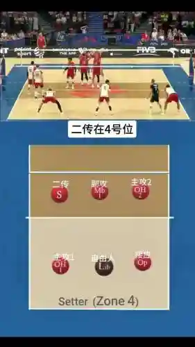 排球阵容配备