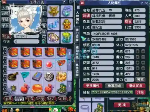 175普陀阵容