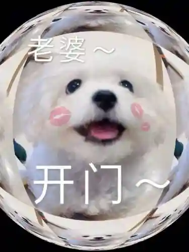 老婆快开门攻略_1插图