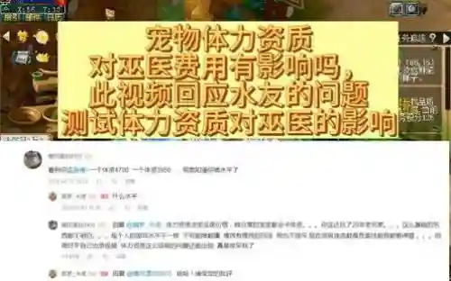 梦幻西游体力资质的影响插图