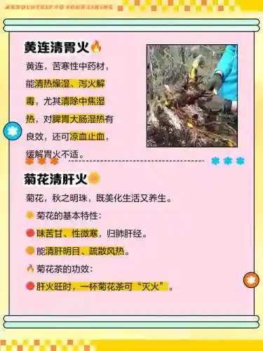忌火起草完整攻略插图