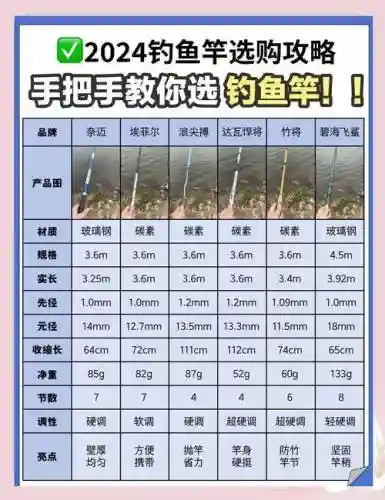 新手钓鱼装备选择插图