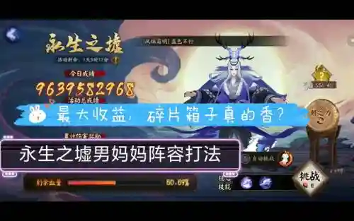 海男阵容