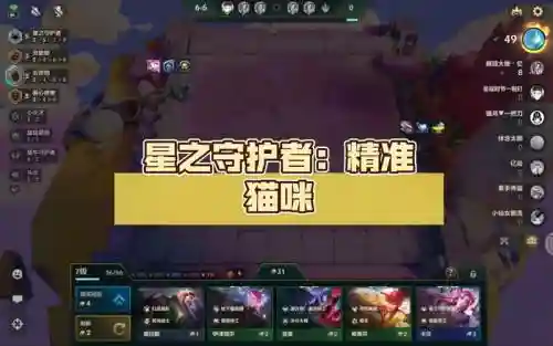 精准猫咪阵容插图