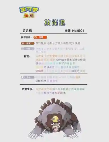 月月熊阵容搭配