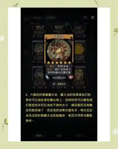赛龙阵容搭配
