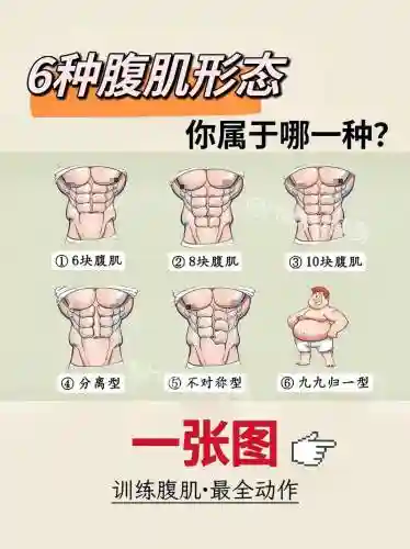 腹肌斗技阵容搭配插图