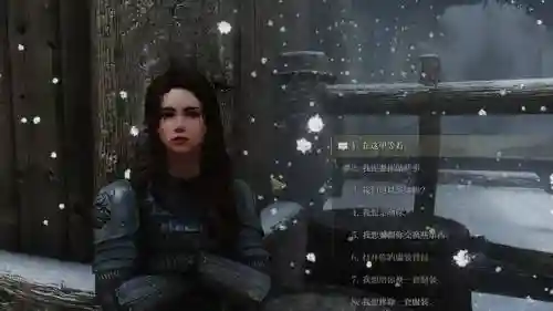 上古卷轴怎么把武器给随从_1
