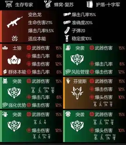 全境封锁dps装备