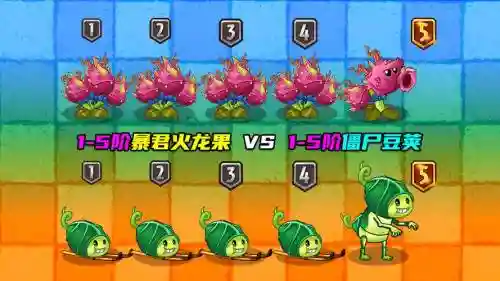 5暴君阵容