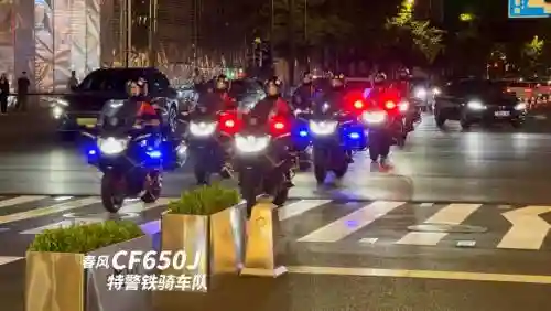 警车铁骑阵容插图