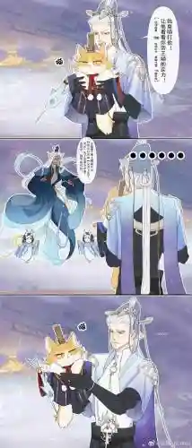 风华韩非阵容