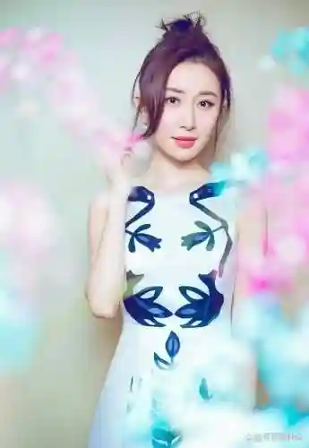 苏畅阵容_1插图