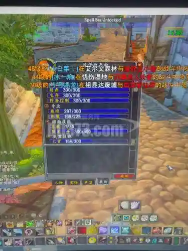 魔兽60猎人mc之前装备