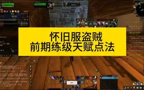 盗贼满级攻略